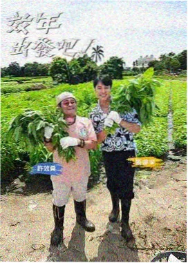 丁香花影院在线观看电视剧百度云 - 向往的生活·田园篇